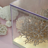 Large collection of 1960s oyster & coral with custom light box